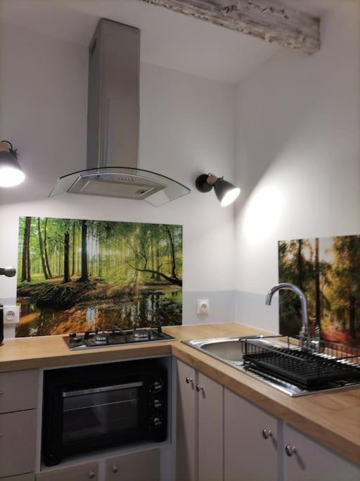 Logement Entier 3 Pieces Et Terrasse Mazieres-en-Gatine Extérieur photo